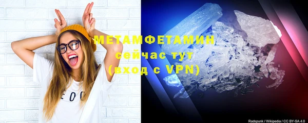 ПСИЛОЦИБИНОВЫЕ ГРИБЫ Богданович