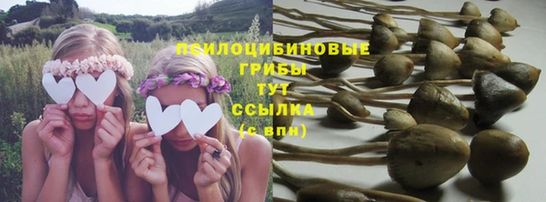 марки lsd Богородицк