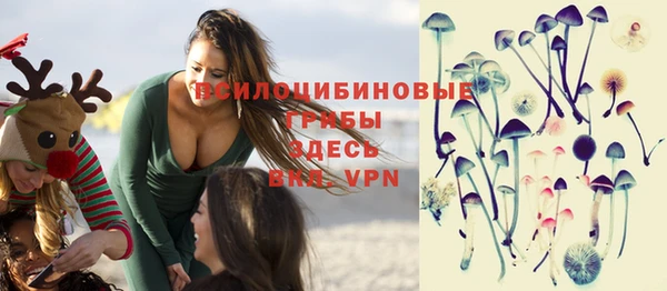 марки lsd Богородицк
