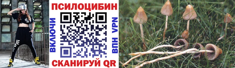 Галлюциногенные грибы GOLDEN TEACHER  Буй 